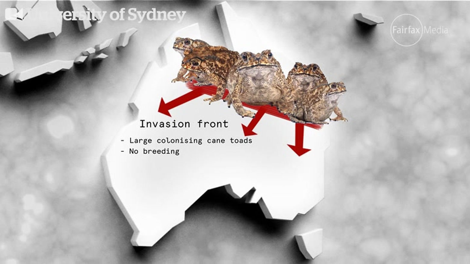 Surviving the cane toad invasion
